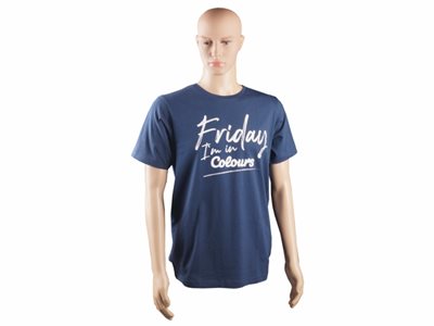 T-shirt męski Colours Friday, modrá, vel. XXXL image
